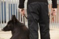 /album/nos-agents/agent-de-securite-jpg/
